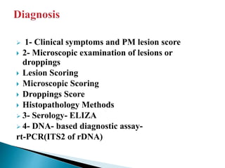  1- Clinical symptoms and PM lesion score
 2- Microscopic examination of lesions or
droppings
 Lesion Scoring
 Microscopic Scoring
 Droppings Score
 Histopathology Methods
 3- Serology- ELIZA
 4- DNA- based diagnostic assay-
rt-PCR(ITS2 of rDNA)
 