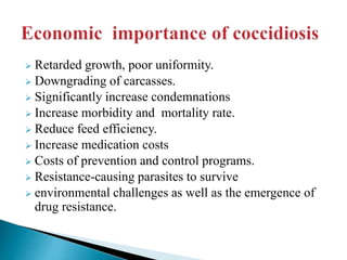  Retarded growth, poor uniformity.
 Downgrading of carcasses.
 Significantly increase condemnations
 Increase morbidity and mortality rate.
 Reduce feed efficiency.
 Increase medication costs
 Costs of prevention and control programs.
 Resistance-causing parasites to survive
 environmental challenges as well as the emergence of
drug resistance.
 