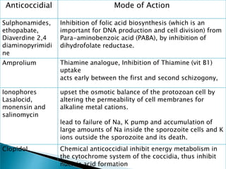 Anticoccidial Mode of Action
Sulphonamides,
ethopabate,
Diaverdine 2,4
diaminopyrimidi
ne
Inhibition of folic acid biosynthesis (which is an
important for DNA production and cell division) from
Para-aminobenzoic acid (PABA), by inhibition of
dihydrofolate reductase.
Amprolium Thiamine analogue, Inhibition of Thiamine (vit B1)
uptake
acts early between the first and second schizogony,
Ionophores
Lasalocid,
monensin and
salinomycin
upset the osmotic balance of the protozoan cell by
altering the permeability of cell membranes for
alkaline metal cations.
lead to failure of Na, K pump and accumulation of
large amounts of Na inside the sporozoite cells and K
ions outside the sporozoite and its death.
Clopidol, Chemical anticoccidial inhibit energy metabolism in
the cytochrome system of the coccidia, thus inhibit
nucleic acid formation
 
