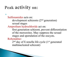 
Sulfonamides acts on:
development schizonts (2nd generation)
sexual stages
Amprolium hydrochloride act on:
first generation schizont, prevent differentiation
of the merozoites. May suppress the sexual
stages and sporulation of the oocysts.
Robenidine:
2nd day of E.tenella life cycle (1st generated
multinucleated schizont)
 