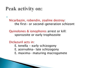 
Nicarbazin, robendin, zoaline destroy:
the first- or second-generation schizont
Quinolones & ionophores arrest or kill:
sporozoite or early trophozoite
Diclazuril acts in:
E. tenella - early schizogony
E. acervulina- late schizogony
E. maxima- maturing macrogamete
 
