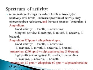  (combination of drugs for reduce levels of toxicity{at
relatively save levels}, increase spectrum of activity, may
overcome drug resistance, and increase potency {synergism})
Amprolium:
Good activity: E. tenella, E. acervulina
Marginal activity: E. maxima, E. mivati, E. necatrix, E.
brunetti.
Amprolium 125ppm + ethopabate 4 ppm:
Good activity: E. tenella, E. acervulina
E. maxima, E. mivati, E. necatrix, E. brunetti.
Amprolium (240 ppm) + sulphaquinoxaline (180 ppm):
highly efficacious against E. tenella, E. acervulina
E. maxima, E. necatrix, E. brunetti
Amprolium 80 ppm + ethopabate 60 ppm + sulphaquinoxaline
(5 ppm):
 