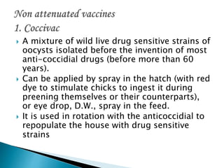  A mixture of wild live drug sensitive strains of
oocysts isolated before the invention of most
anti-coccidial drugs (before more than 60
years).
 Can be applied by spray in the hatch (with red
dye to stimulate chicks to ingest it during
preening themselves or their counterparts),
or eye drop, D.W., spray in the feed.
 It is used in rotation with the anticoccidial to
repopulate the house with drug sensitive
strains
 