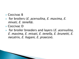  Coccivac B
 for broilers (E. acervulina, E. maxima, E.
mivati, E. tenella).
 Coccivac D
 for broiler breeders and layers (E. acervulina,
E. maxima, E. mivati, E. tenella, E. brunetti, E.
necatrix, E. hagani, E. praecox).
 
