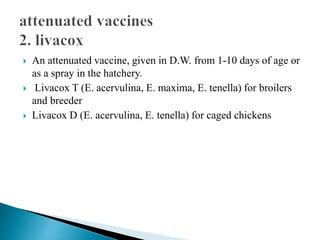  An attenuated vaccine, given in D.W. from 1-10 days of age or
as a spray in the hatchery.
 Livacox T (E. acervulina, E. maxima, E. tenella) for broilers
and breeder
 Livacox D (E. acervulina, E. tenella) for caged chickens
 