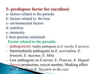 5- predispose factor for coccdiosis
a- factors related to the parasite
b- factors related to the host
c- environmental factors
d- nutrition
e- immunity
f- host parasite relationsh
Factor related to the parasite
- pathogenicity- highly pathogenic as E. tenella, E necatrix.
- Intermediately pathogenic as E. acervulina, E.
brunetti, E. maxima, E. Mitis
- Low pathogenic as E.mivati, E. Praecox, E. Hagani
- Oocyst production, oocyst number, Masking effect
of E. Tenella to E. Necatrix in the ceci
 