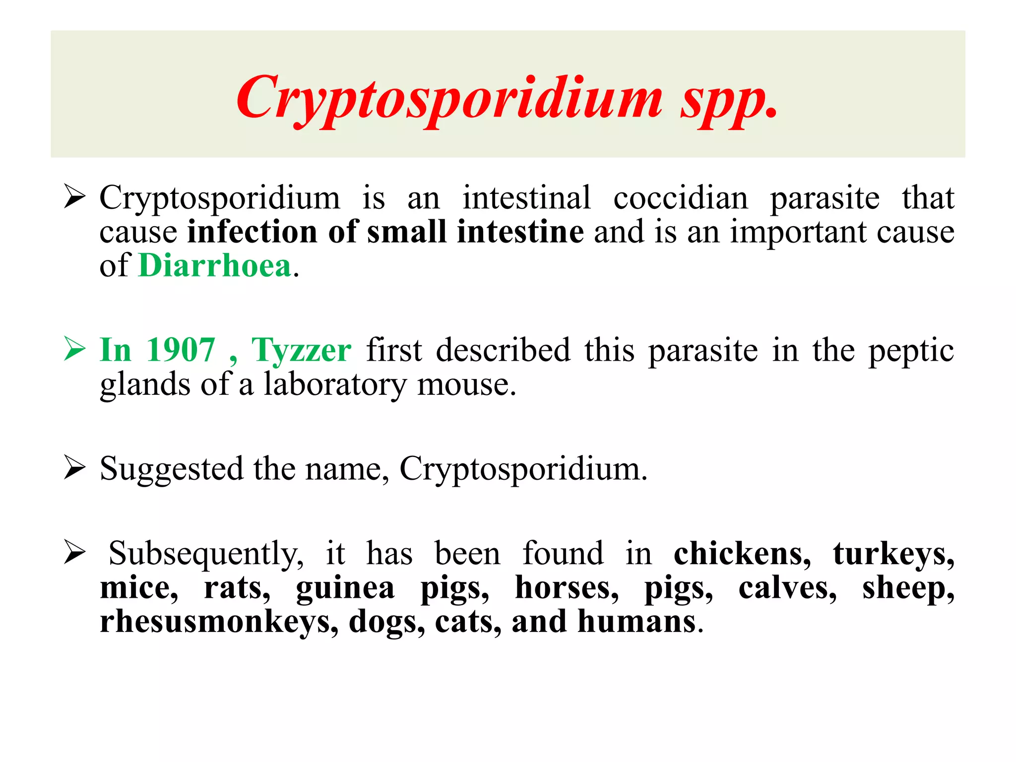 Coccidian parasites- Cryptosporidiosis | PPTX