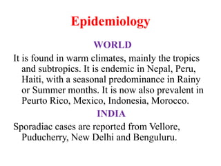 Epidemiology
WORLD
It is found in warm climates, mainly the tropics
and subtropics. It is endemic in Nepal, Peru,
Haiti, with a seasonal predominance in Rainy
or Summer months. It is now also prevalent in
Peurto Rico, Mexico, Indonesia, Morocco.
INDIA
Sporadiac cases are reported from Vellore,
Puducherry, New Delhi and Benguluru.
 