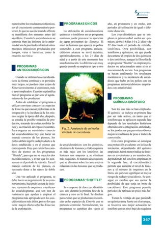 Selecciones
                                                                                                               Avícolas

menor sobre los resultados zootécnicos,        PROGRAMAS ÚNICOS                       año, en primavera y en otoño, con
por el crecimiento compensatorio pos-                                                 períodos de utilización de igual o dife-
terior, lo que no sucede cuando el brote        La utilización de coccidiostáticos    rente duración.
se manifiesta dos semanas antes del         químicos o ionóforos en un programa          Los coccidiostáticos que se em-
sacrificio. Cuando la coccidiosis no se     continuo puede provocar la aparición      plean en primera edad suelen ser quí-
controla bien las lesiones de la enfer-     de cepas resistentes de Eimeria. El       micos, de 0 a 14 días ó 0 a 21 días y de
medad son la puerta de entrada de otros     nivel de lesiones que aparece en pollos   22 días hasta el período de retirada,
procesos infecciosos producidos por         sometidos a este programa anticoc-        ionóforos. Otra posibilidad, son
hongos, virus o bacterias, como la          cidiósico alcanza su nivel máximo,        ionóforos y químicos, sin que pueda
enteritis necrótica.                        aproximadamente, a los 21 días de         descartarse el empleo de dos químicos
                                            edad y a partir de este momento hay       o dos ionóforos, aunque la filosofía de
                                            una disminución. La diferencia es muy     un programa “Shuttle” es emplear pro-
    PROGRAMAS                               grande cuando se emplea un tipo u otro    ductos no relacionados entre sí en el
    ANTICOCCIDIÓSICOS                                                                 mecanismo de acción. Los programas
                                                                                      se hacen analizando los resultados
    Cuando se utilizan los coccidiostá-                                               zootécnicos y la incidencia de cocci-
ticos de forma continua y en períodos                                                 diosis que hubo en los pollos con los
muy largos, se pueden crear cepas de                                                  programas anticoccidiósicos emplea-
Eimerias resistentes a los mismos, más                                                dos con anterioridad.
o peor empleados. Cuando se planifica
bien el programa se previene el agota-
miento de los productos.                                                                   PROGRAMAS
    Antes de establecer el programa a                                                      QUÍMICO-IONÓFORO
utilizar conviene conocer las especies
de Eimeria que causan problemas en la                                                     Son los que más se han empleado.
integración y la incidencia de los mis-                                               El químico se incluye en primera fase
mos según la época del año; después,                                                  por ser más activo, en tanto que el
se estudia la posible rotación de pro-                                                ionóforo que se aplica en segunda fase
ductos, tratando de evitar posibles fa-                                               depende de los resultados históricos
llos y la creación de cepas resistentes.                                              obtenidos en la integración, utilizándo-
                                              Fig. 2. Apariencia de un broiler
Para asegurar un suministro correcto                                                  se los productos que permiten obtener
                                              afectado de coccidiosis.
del coccidiostático hay que hacer un                                                  mejores resultados de peso e índice de
manejo correcto de los piensos, los                                                   conversión.
pollos deben ingerir cada producto a la                                                   Con estos programas se consigue
dosis establecida y en el pienso que        de coccidiostáticos: con los químicos,    una protección excelente: en la fase de
corresponda. Hay que cuidar los cam-        el número de lesiones y el de ooquistes   iniciación, dependiendo del químico
bios de pienso en los programas             es más bajo; con los ionóforos las        empleado, habrá menor índice de lesio-
“Shuttle”, para que no se mezclen dos       lesiones son mayores y se eliminan        nes en crecimiento y en terminación;
coccidiostáticos, y evitar que los con-     más ooquistes. El número de ooquistes     dependiendo del ionóforo empleado en
suman en el período de retirada. Para el    que se eliminan sobre la cama está en     la segunda fase, el coccidiostático
manejo correcto de los piensos, es          relación con las lesiones que se produ-   permite que aumente el nivel de lesio-
necesario dotar a las naves de doble        cen.                                      nes y el número de ooquistes en la
silo.                                                                                 litera, sin que esto signifique un mayor
    Una vez aplicado el programa, se                                                  riesgo de padecer coccidiosis. Se con-
debe hacer un seguimiento de su com-            PROGRAMAS “SHUTTLE”                   sigue en cambio que sea menor la
portamiento, haciendo lectura de lesio-                                               posibilidad de que surja un brote de
nes, recuento de ooquistes, o realizan-         Se compone de dos coccidiostáti-      coccidiosis. Este programa permite
do coccidiogramas que son test de           cos: uno durante la primera fase de la    períodos de retirada un poco más lar-
resistencia que ayudan a emplear el         crianza y otro en la final. Se diseñan    gos.
programa más apropiado con los coc-         para evitar que se produzcan resisten-        Tienen la ventaja de que poniendo
cidiostáticos más útiles, por ser los que   cias en las especies de Eimeria que se    un químico muy fuerte en el arranque,
tiene mayor efecto sobre las Eimerias       pretende controlar. Normalmente, los      se favorece una mejor actuación del
de la explotación.                          programas se cambian dos veces al         ionóforo con un nivel bajo de ooquistes


                                                                                                                      367
 