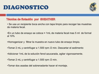 Método de concentración