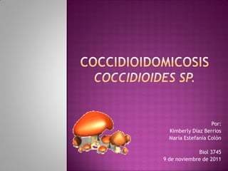 Coccidioidomicosis | PPT