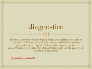 
diagnostico
Examen directo en fresco. Puede efectuarse aclarando el esputo
con KOH al 15% durante 10 min u observando directamente
productos como líquido de lavado bronquial, líquido
cefalorraquídeo o líquido purulento producto de la fistulización de
nódulos subcutáneos
Riesgo Biológico Nivel 3
 