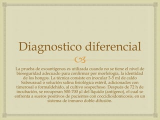 
Diagnostico diferencial
La prueba de exoantígenos es utilizada cuando no se tiene el nivel de
bioseguridad adecuado para confirmar por morfología, la identidad
de los hongos. La técnica consiste en inocular 3-5 ml de caldo
Sabouraud o solución salina fisiológica estéril, adicionados con
timerosal o formaldehído, al cultivo sospechoso. Después de 72 h de
incubación, se recuperan 500-700 µl del líquido (antígeno), el cual se
enfrenta a sueros positivos de pacientes con coccidioidomicosis, en un
sistema de inmuno doble-difusión.
 