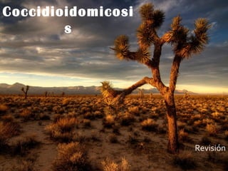 Coccidioidomicosi
s
Revisión
 