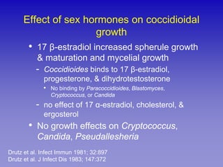 Effect of sex hormones on coccidioidal
                      growth
       • 17 β-estradiol increased spherule growth
           & maturation and mycelial growth
          -   Coccidioides binds to 17 β-estradiol,
              progesterone, & dihydrotestosterone
              • No binding by Paracoccidioides, Blastomyces,
                Cryptococcus, or Candida
          -   no effect of 17 α-estradiol, cholesterol, &
              ergosterol
       • No growth effects on Cryptococcus,
           Candida, Pseudallesheria
Drutz et al. Infect Immun 1981; 32:897
Drutz et al. J Infect Dis 1983; 147:372
 