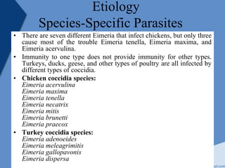 Etiology
Species-Specific Parasites
• There are seven different Eimeria that infect chickens, but only three
cause most of the trouble Eimeria tenella, Eimeria maxima, and
Eimeria acervulina.
• Immunity to one type does not provide immunity for other types.
Turkeys, ducks, geese, and other types of poultry are all infected by
different types of coccidia.
• Chicken coccidia species:
Eimeria acervulina
Eimeria maxima
Eimeria tenella
Eimeria necatrix
Eimeria mitis
Eimeria brunetti
Eimeria praecox
• Turkey coccidia species:
Eimeria adenoeides
Eimeria meleagrimitis
Eimeria gallopavonis
Eimeria dispersa
 
