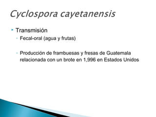    Transmisión
    ◦ Fecal-oral (agua y frutas)

    ◦ Producción de frambuesas y fresas de Guatemala
      relacionada con un brote en 1,996 en Estados Unidos
 