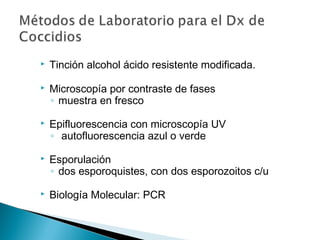    Tinción alcohol ácido resistente modificada.

   Microscopía por contraste de fases
    ◦ muestra en fresco

   Epifluorescencia con microscopía UV
    ◦ autofluorescencia azul o verde

   Esporulación
    ◦ dos esporoquistes, con dos esporozoitos c/u

   Biología Molecular: PCR
 