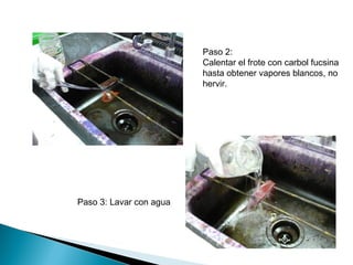 Paso 2:
                         Calentar el frote con carbol fucsina
                         hasta obtener vapores blancos, no
                         hervir.




Paso 3: Lavar con agua
 