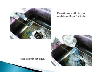 Paso 6: cubrir el frote con
                         azul de metileno, 1 minuto.




Paso 7: lavar con agua
 