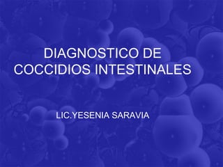 DIAGNOSTICO DE
COCCIDIOS INTESTINALES
LIC.YESENIA SARAVIA
 