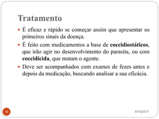 Tratamento
6/19/201714
 É eficaz e rápido se começar assim que apresentar os
primeiros sinais da doença.
 É feito com medicamentos a base de coccidiostáticos,
que irão agir no desenvolvimento do parasita, ou com
coccidicida, que matam o agente.
 Deve ser acompanhados com exames de fezes antes e
depois da medicação, buscando analisar a sua eficácia.
 
