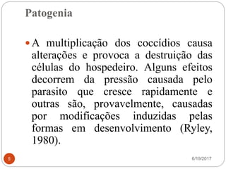 Patogenia
6/19/20175
 A multiplicação dos coccídios causa
alterações e provoca a destruição das
células do hospedeiro. Alguns efeitos
decorrem da pressão causada pelo
parasito que cresce rapidamente e
outras são, provavelmente, causadas
por modificações induzidas pelas
formas em desenvolvimento (Ryley,
1980).
 