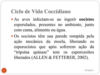 Ciclo de Vida Coccidiano
6/19/20176
 As aves infectam-se ao ingerir oocistos
esporulados, presentes no ambiente, junto
com cama, alimento ou água.
 Os oocistos têm sua parede rompida pela
ação mecânica da moela, liberando os
esporocistos que após sofrerem ação da
“tripsina quinase” tem os esporozoítos
liberados (ALLEN & FETTERER, 2002).
 