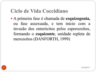 Ciclo de Vida Coccidiano
6/19/20177
 A primeira fase é chamada de esquizogonia,
ou fase assexuada, e tem início com a
invasão dos enterócitos pelos esporozoítos,
formando o esquizonte, unidade repleta de
merozoítos (DANFORTH, 1999)
 