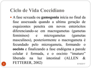 Ciclo de Vida Coccidiano
6/19/20178
 A fase sexuada ou gamogonia inícia no final da
fase assexuada quando a ultima geração de
esquizontes penetra em novos enterócitos
diferenciando-se em macrogametas (gametas
femininos) e microgametas (gametas
masculinos), posteriormente o macrogameta é
fecundado pelo microgameta, formando o
oocisto e finalizando a fase endógena a parede
celular é formada, e o oocisto “imaturo”
liberado na luz intestinal (ALLEN &
FETTERER, 2002)
 