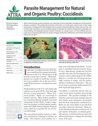 Parasite Management for Natural
   ATTRA and Organic Poultry: Coccidiosis
    A Publication of ATTRA - National Sustainable Agriculture Information Service • 1-800-346-9140 • www.attra.ncat.org

By Anne Fanatico                             Both small and large poultry producers are interested in the sustainable management of the parasitic
NCAT Agriculture                             disease coccidiosis. This publication provides information on its life cycle, transmission in free-range
Specialist                                   production, management in the brooder and on pasture, natural treatments, drugs, and vaccines. On
©2006 NCAT                                   a small scale, coccidiosis can be handled without medication by careful management, especially dur-
                                             ing brooding, and adequate pasture rotation; however, on a larger scale, it is more difﬁcult and vac-
                                             cines are an important alternative to drugs in organic production. References and further information
                                             follow the narrative.




Contents
Introduction .................... 1
Life Cycle and Types of
Coccidia ............................. 2
Transmission in the
Environment ................... 2
Symptoms and
Diagnosis........................... 4
Management for
Control ............................... 5    As the size of outdoor ﬂocks increases, more attention   Coccidia are parasites that damage the gut of poultry.
                                             is needed for coccidiosis control.                       Photo by Joe Beasley, DVM, PhD.
Natural Treatments ........ 7
Drugs .................................. 8
Vaccines ............................. 9     Introduction                                             large scale with high-density ﬂocks. Coccid-



                                             I
                                                                                                      iosis is controlled with preventative drugs.
Summary ......................... 10              n the past, coccidiosis was one of the dis-
                                                                                                      In fact, high-density production became
References ...................... 11              eases most feared by commercial poultry
                                                  growers in the U.S. Death losses of 20              possible only after the development of pre-
                                             percent or more were common. “Backyard”                  ventative anticoccidial drugs in the 1940s.
                                             growers are usually so small that coccidio-              However, coccidia are becoming increas-
                                             sis is not a problem, but as the size of free-           ingly resistant to drugs, and the poultry
                                             range ﬂocks increases, coccidiosis becomes               industry is looking for alternatives. The use
                                             a threat.                                                of vaccines in particular holds potential for
                                                                                                      both small and large growers.
                                             Small producers in the U.S. raise birds with
                                             outdoor access and sell the meat and eggs                Coccidiosis is a parasitic disease that can
                                             directly to local consumers. These “pas-                 cause severe losses in poultry meat and egg
                                             tured poultry” flocks are increasing in                  production. The parasites multiply in the
                                             number and size. Many of these producers                 intestines and cause tissue damage, lowered
                                             use natural production methods and avoid                 feed intake, poor absorption of nutrients
ATTRA—National Sustainable
Agriculture Information Service
                                             using drugs in their ﬂocks. Larger compa-                from the feed, dehydration, and blood loss.
is managed by the National Cen-              nies also produce certiﬁed organic poultry               Birds are also more likely to get sick from
ter for Appropriate Technology
(NCAT) and is funded under a                 under the USDA National Organic Program                  secondary bacterial infections. However,
grant from the United States                 rules, which do not permit the use of anti-              in low-density production or with the use of
Department of Agriculture’s
Rural Business-Cooperative Ser-              coccidial drugs.                                         preventative medication, coccidiosis gener-
vice. Visit the NCAT Web site
(www.ncat.org/agri.                          The conventional poultry industry is like-               ally remains a subclinical disease that only
html) for more informa-
tion on our sustainable
                                             wise interested in reducing its reliance on              affects performance—without the alarming
agriculture projects. ����                   drugs. The industry raises poultry on a                  losses of the past.
 