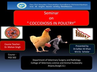Seminar
on
" COCCIDIOSIS IN POULTRY”
Presented by
Dr.Safdar Ali Khan
M.V.Sc Scholar
Course Teacher-
Dr. Mohan Singh
Department of Veterinary Surgery and Radiology
College of Veterinary science and Animal Husbandry
Anjora,Durg(C.G.)
Course -
PGS 502
 