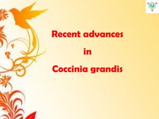 Recent advances
in
Coccinia grandis
 