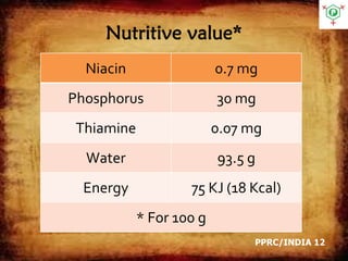 Nutritive value*
Niacin 0.7 mg
Phosphorus 30 mg
Thiamine 0.07 mg
Water 93.5 g
Energy 75 KJ (18 Kcal)
* For 100 g
PPRC/INDIA 12
 