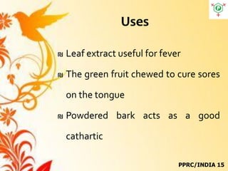 Uses
₪ Leaf extract useful for fever
₪ The green fruit chewed to cure sores
on the tongue
₪ Powdered bark acts as a good
cathartic
PPRC/INDIA 15
 