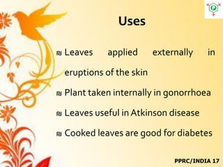 Uses
₪ Leaves applied externally in
eruptions of the skin
₪ Plant taken internally in gonorrhoea
₪ Leaves useful in Atkinson disease
₪ Cooked leaves are good for diabetes
PPRC/INDIA 17
 