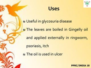 Uses
₪ Useful in glycosuria disease
₪ The leaves are boiled in Gingelly oil
and applied externally in ringworm,
psoriasis, itch
₪ The oil is used in ulcer
PPRC/INDIA 18
 