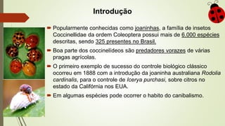 Introdução
 Popularmente conhecidas como joaninhas, a família de insetos
Coccinellidae da ordem Coleoptera possui mais de 6.000 espécies
descritas, sendo 325 presentes no Brasil.
 Boa parte dos coccinelídeos são predadores vorazes de várias
pragas agrícolas.
 O primeiro exemplo de sucesso do controle biológico clássico
ocorreu em 1888 com a introdução da joaninha australiana Rodolia
cardinalis, para o controle de Icerya purchasi, sobre citros no
estado da Califórnia nos EUA.
 Em algumas espécies pode ocorrer o habito do canibalismo.
 