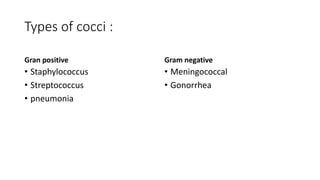 Types of cocci :
Gran positive
• Staphylococcus
• Streptococcus
• pneumonia
Gram negative
• Meningococcal
• Gonorrhea
 