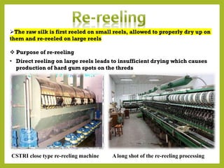 Silk Reeling Process/thread Extraction Comprehensive Guide to Cocoon Processing and Silk Reeling Techniques | PDF