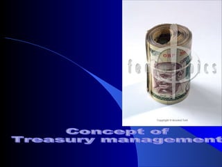 Concept of  Treasury management 