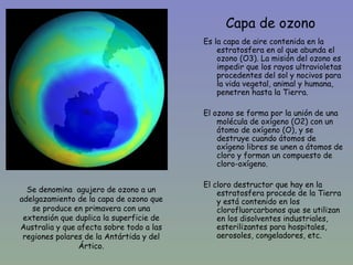 Capa de ozono
                                          Es la capa de aire contenida en la
                                              estratosfera en al que abunda el
                                              ozono (O3). La misión del ozono es
                                              impedir que los rayos ultravioletas
                                              procedentes del sol y nocivos para
                                              la vida vegetal, animal y humana,
  •                                           penetren hasta la Tierra.

                                          El ozono se forma por la unión de una
                                              molécula de oxígeno (O2) con un
                                              átomo de oxígeno (O), y se
                                              destruye cuando átomos de
                                              oxígeno libres se unen a átomos de
                                              cloro y forman un compuesto de
                                              cloro-oxígeno.

                                          El cloro destructor que hay en la
  Se denomina agujero de ozono a un           estratosfera procede de la Tierra
adelgazamiento de la capa de ozono que        y está contenido en los
   se produce en primavera con una            clorofluorcarbonos que se utilizan
 extensión que duplica la superficie de       en los disolventes industriales,
Australia y que afecta sobre todo a las       esterilizantes para hospitales,
 regiones polares de la Antártida y del       aerosoles, congeladores, etc.
                Ártico.
 