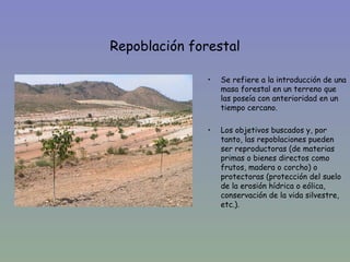Repoblación forestal

               •   Se refiere a la introducción de una
                   masa forestal en un terreno que
                   las poseía con anterioridad en un
                   tiempo cercano.

               •   Los objetivos buscados y, por
                   tanto, las repoblaciones pueden
                   ser reproductoras (de materias
                   primas o bienes directos como
                   frutos, madera o corcho) o
                   protectoras (protección del suelo
                   de la erosión hídrica o eólica,
                   conservación de la vida silvestre,
                   etc.).
 
