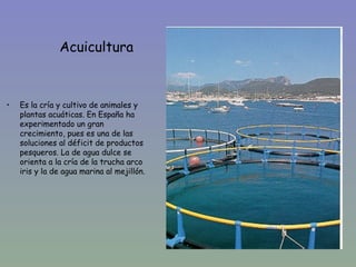 Acuicultura



•   Es la cría y cultivo de animales y
    plantas acuáticas. En España ha
    experimentado un gran
    crecimiento, pues es una de las
    soluciones al déficit de productos
    pesqueros. La de agua dulce se
    orienta a la cría de la trucha arco
    iris y la de agua marina al mejillón.
 