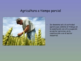 Agricultura a tiempo parcial



                  •   Se denomina así a la actividad
                      agraria que combina el trabajo en
                      la explotación con otra ocupación
                      en sector servicios, en la
                      construcción o en el sector
                      industrial.
 