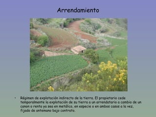 Arrendamiento




•   Régimen de explotación indirecto de la tierra. El propietario cede
    temporalmente la explotación de su tierra a un arrendatario a cambio de un
    canon o renta ya sea en metálico, en especie o en ambos casos a la vez,
    fijado de antemano bajo contrato.
 