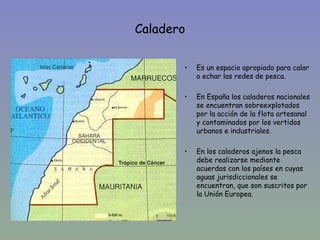 Caladero

           •   Es un espacio apropiado para calar
               o echar las redes de pesca.
•
           •   En España los caladeros nacionales
               se encuentran sobreexplotados
               por la acción de la flota artesanal
               y contaminados por los vertidos
               urbanos e industriales.

           •   En los caladeros ajenos la pesca
               debe realizarse mediante
               acuerdos con los países en cuyas
               aguas jurisdiccionales se
               encuentran, que son suscritos por
               la Unión Europea.
 