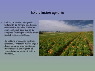 Explotación agraria

•   Unidad de producción agraria.
    Extensión de terreno dividida en
    una o varias parcelas, aunque no
    sean contiguas, pero que en su
    conjunto forman parte de la misma
    unidad técnico-económica.

•   Se obtiene producción agrícola,
    ganadera, forestal o mixta, bajo la
    dirección de un empresario con
    independencia del régimen de
    tenencia (explotación directa o
    indirecta).
 