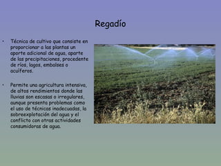 Regadío
•   Técnica de cultivo que consiste en
    proporcionar a las plantas un
    aporte adicional de agua, aparte
    de las precipitaciones, procedente
    de ríos, lagos, embalses o
    acuíferos.

•   Permite una agricultura intensiva,
    de altos rendimientos donde las
    lluvias son escasas o irregulares,
    aunque presenta problemas como
    el uso de técnicas inadecuadas, la
    sobreexplotación del agua y el
    conflicto con otras actividades
    consumidoras de agua.
 