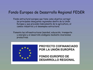 Fondo Europeo de Desarrollo Regional FEDER
  Fondo estructural europeo que tiene como objetivo corregir
     los principales desajustes regionales dentro de la Unión
     Europea y que proceden básicamente de la agricultura, el
     cambio industrial y el desempleo estructural.

  Fomenta las infraestructuras (sanidad, educación, transporte
     y energía) y el desarrollo endógeno mediante inversiones
     productivas.
 